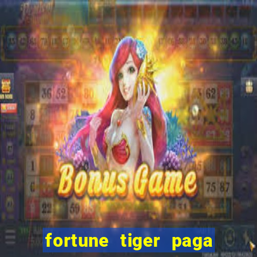 fortune tiger paga de madrugada